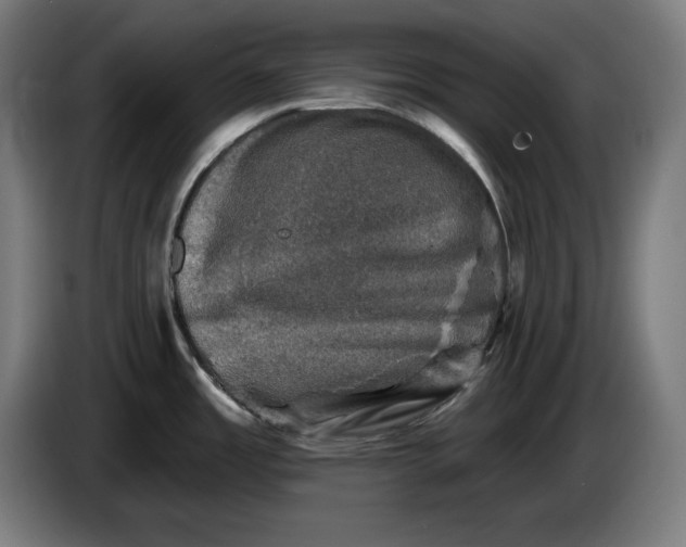 X0000085771485200703301351