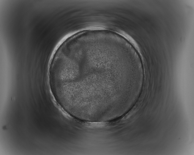 X0000085771488200703301351