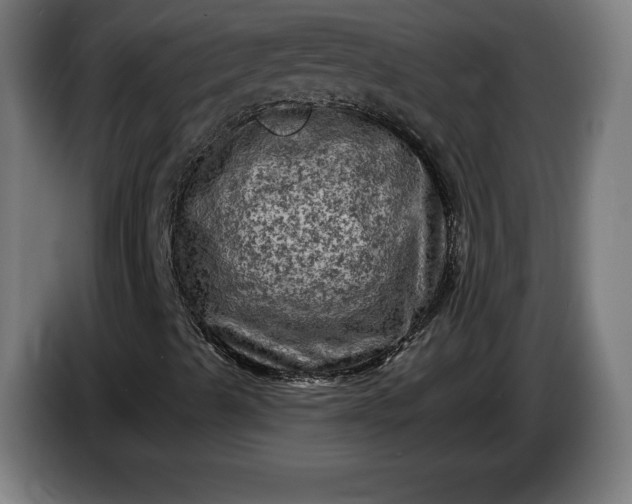 X0000085771489200703301351