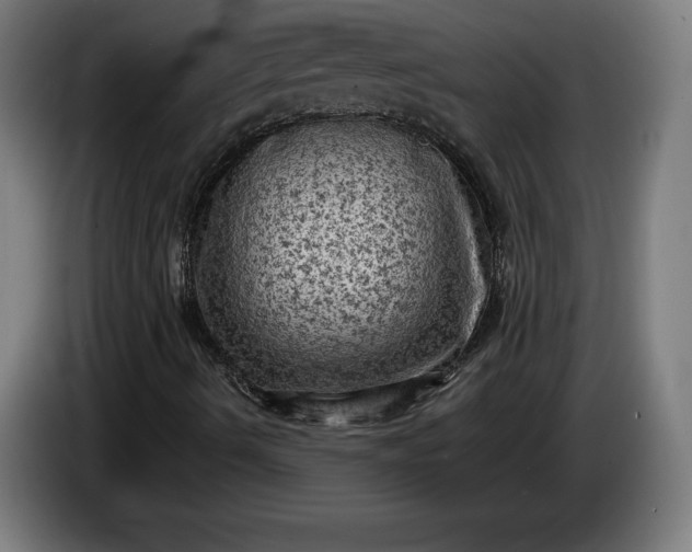 X0000085771490200703301351