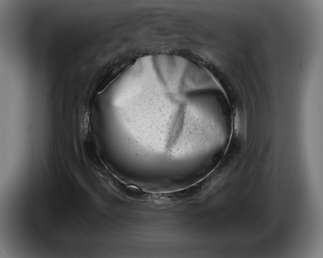 X0000085771492200703301351