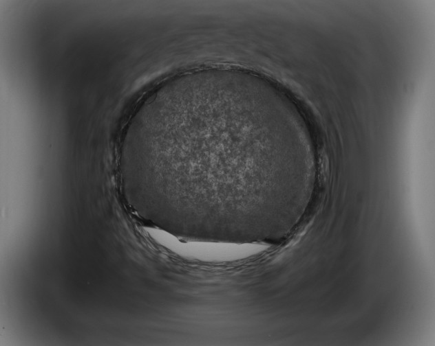 X0000085771494200703301351