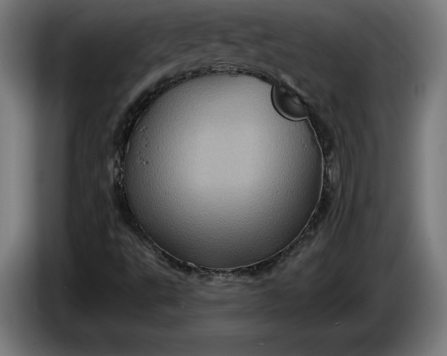 X0000085771495200703301351