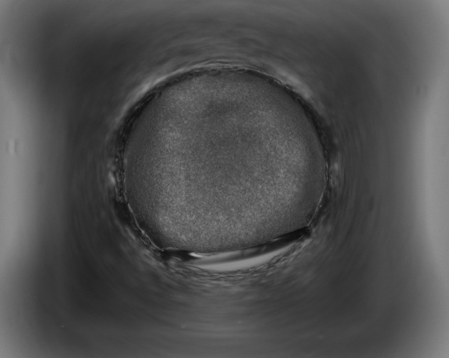 X0000085771496200703301351