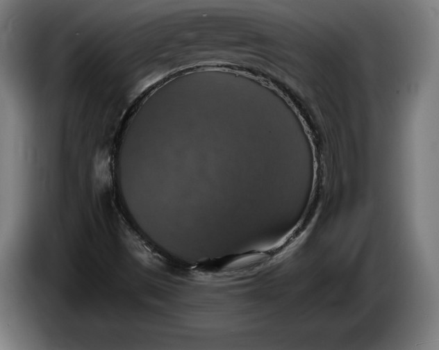 X0000085771497200703301351