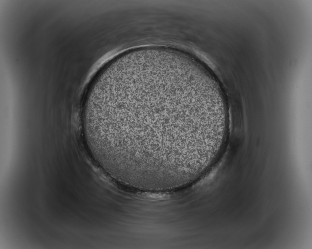 X0000085771501200703301351