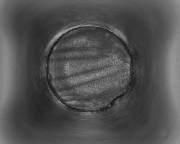 X0000085771504200703301351