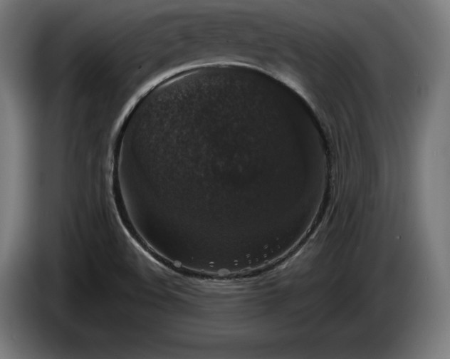 X0000085771508200703301351