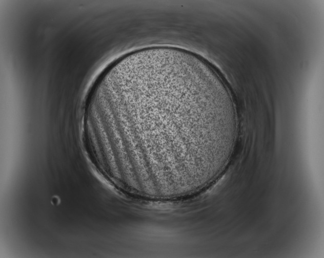 X0000085771511200703301351