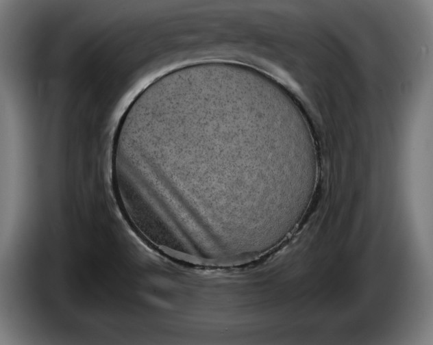 X0000085771512200703301351