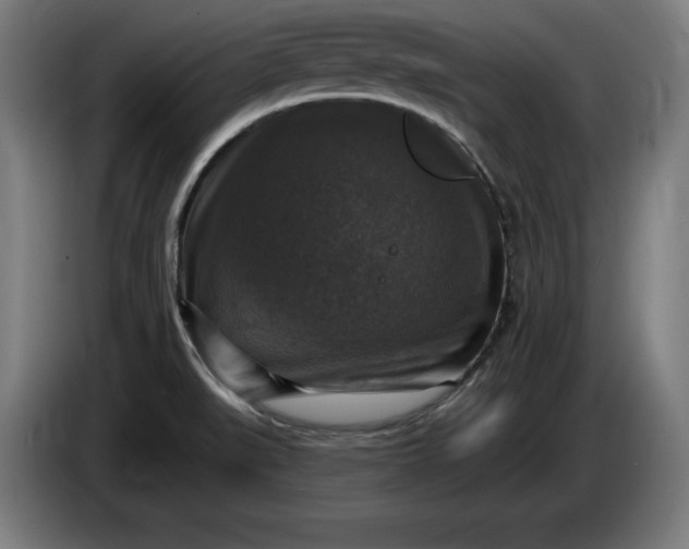 X0000085771519200703301351