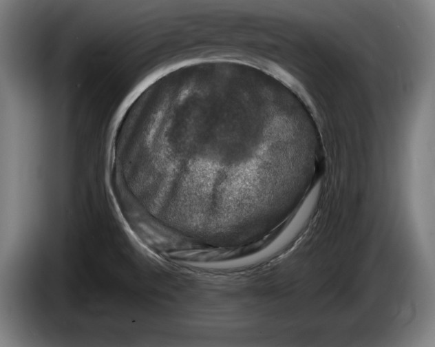 X0000085771520200703301351