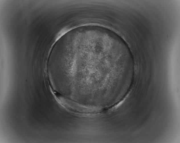 X0000085771521200703301351