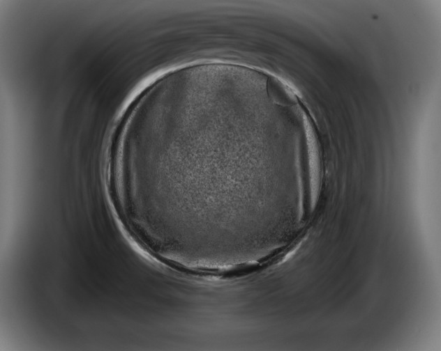 X0000085771523200703301351