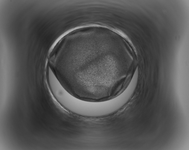 X0000085771524200703301351