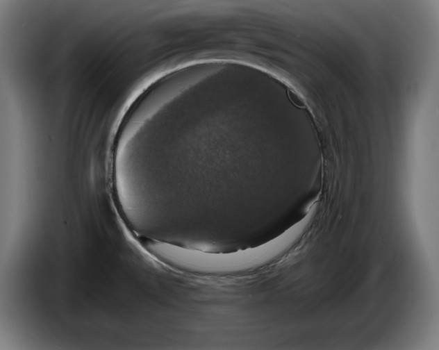 X0000085771527200703301351