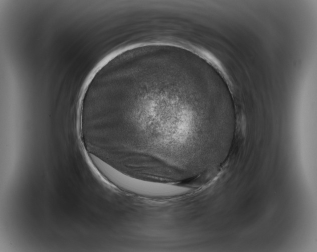 X0000085771528200703301351