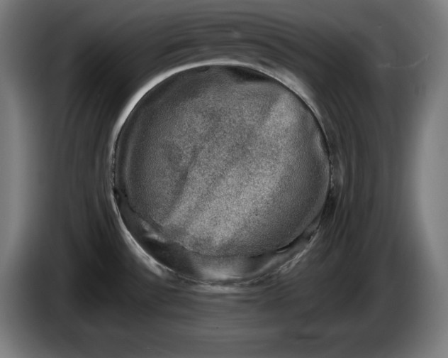 X0000085771532200703301351