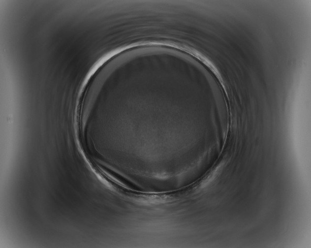 X0000085771533200703301351