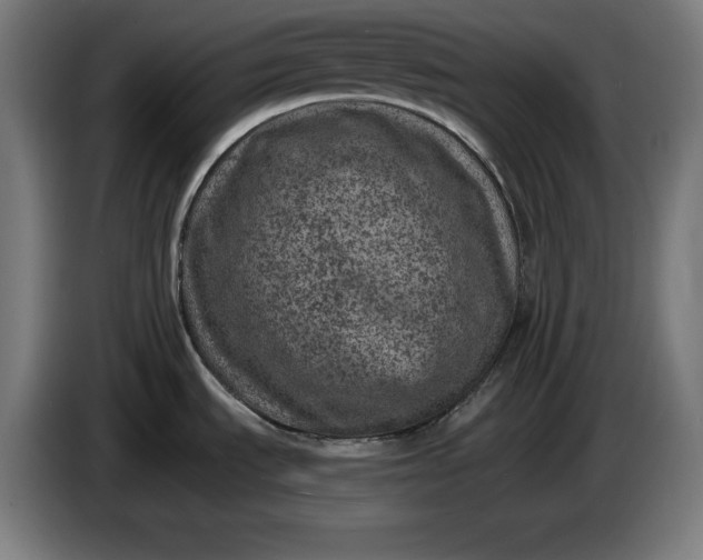 X0000085771535200703301351