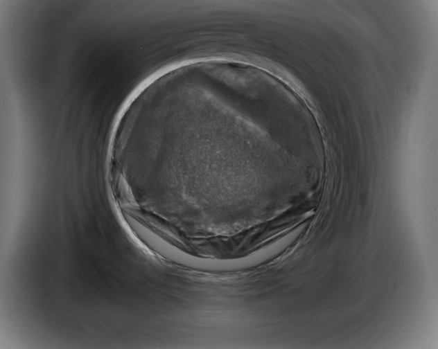 X0000085771536200703301351