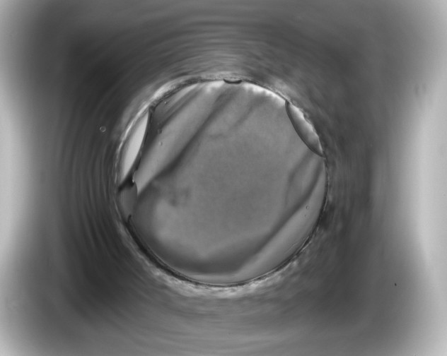 X0000085770002200704091402