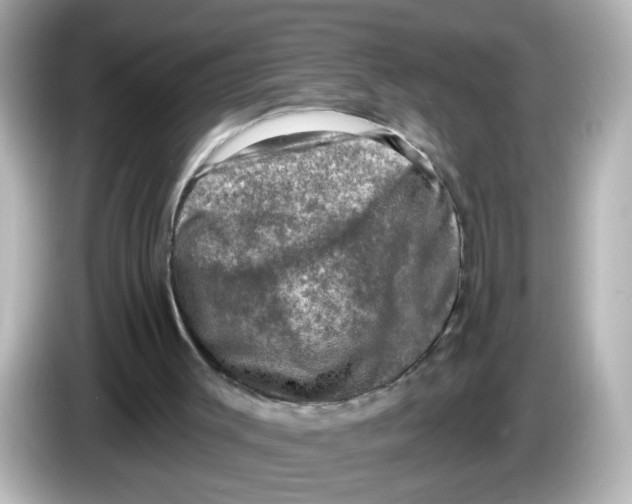 X0000085770003200704091402