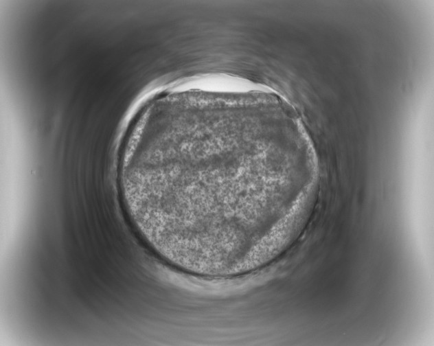 X0000085770006200704091402