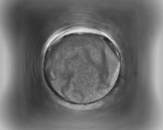 X0000085770007200704091402