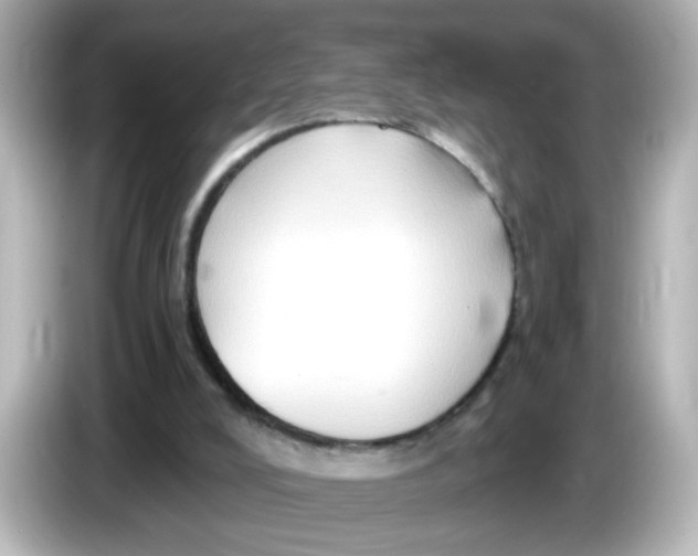 X0000085770008200704091402