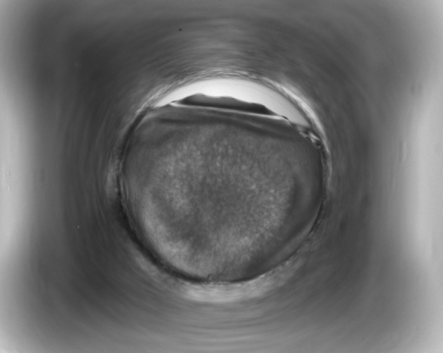 X0000085770009200704091401