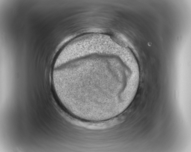 X0000085770011200704091401