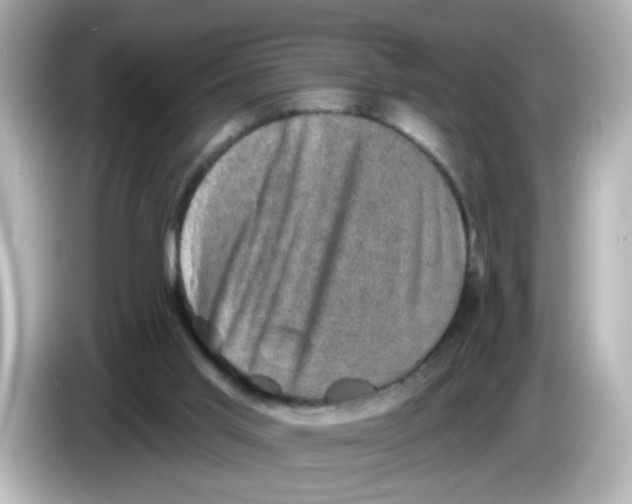 X0000085770013200704091401