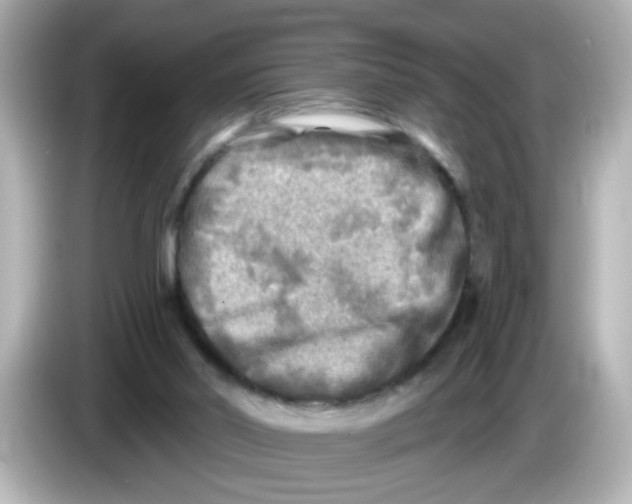 X0000085770014200704091401