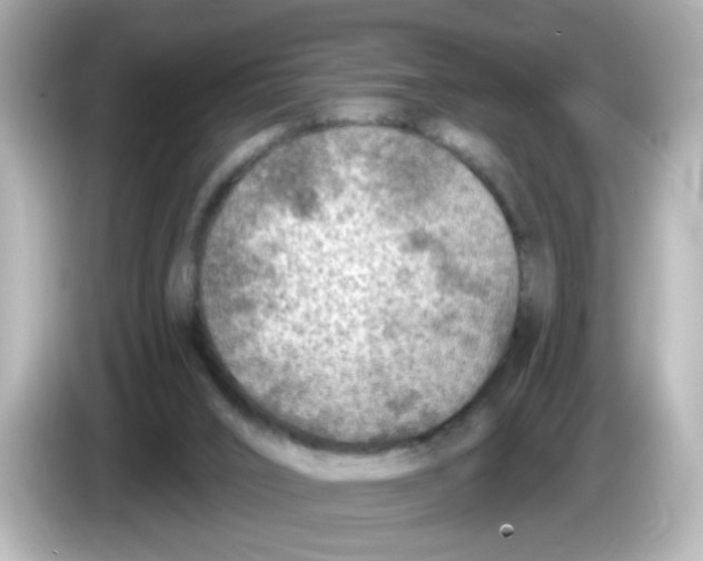 X0000085770016200704091401