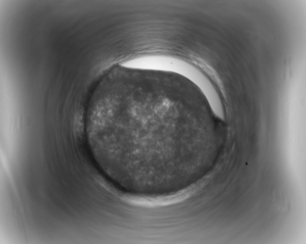 X0000085770017200704091401