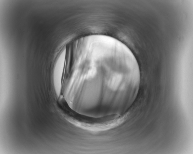 X0000085770019200704091401