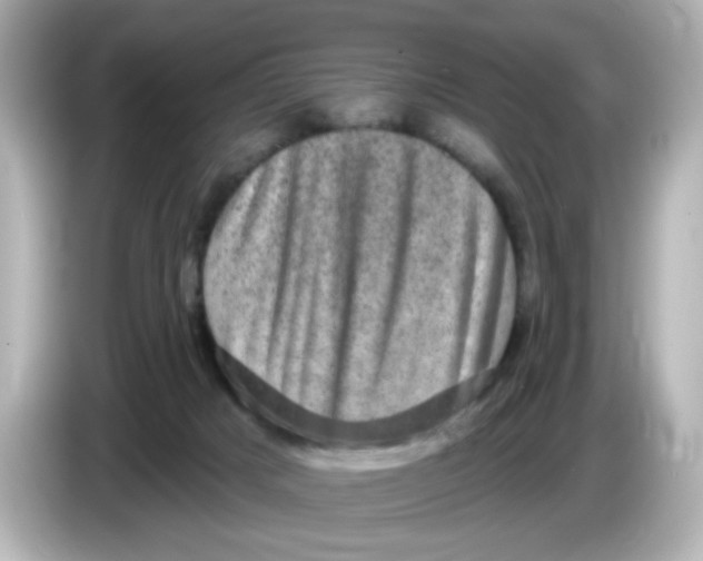 X0000085770025200704091401