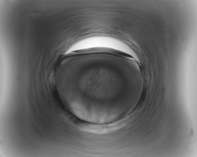 X0000085770029200704091401