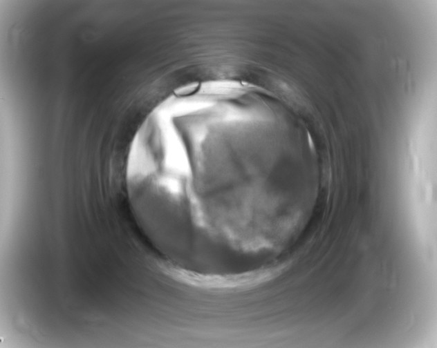 X0000085770030200704091401