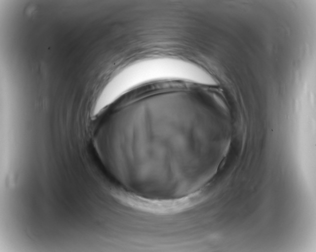 X0000085770031200704091401