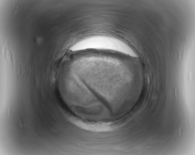 X0000085770032200704091401