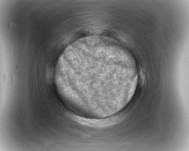 X0000085770034200704091401