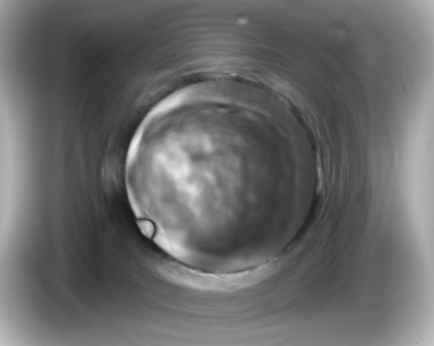 X0000085770035200704091401