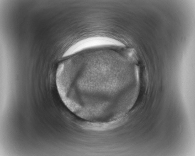 X0000085770037200704091401