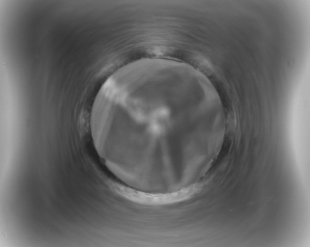 X0000085770043200704091401