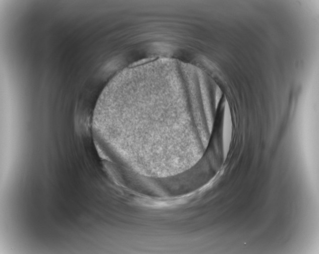 X0000085770045200704091401