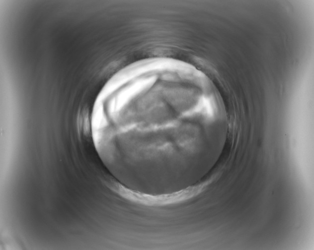 X0000085770046200704091401