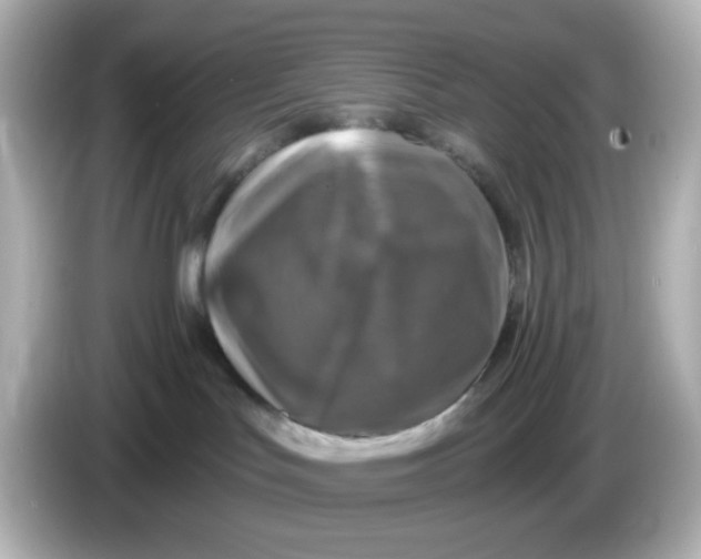 X0000085770047200704091401