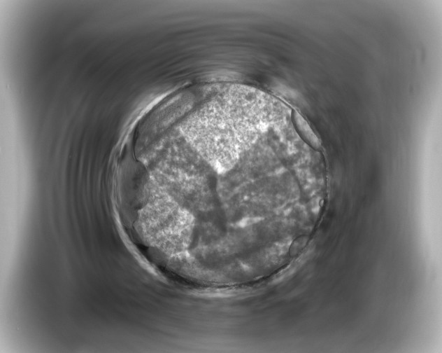 X0000085770049200704091400